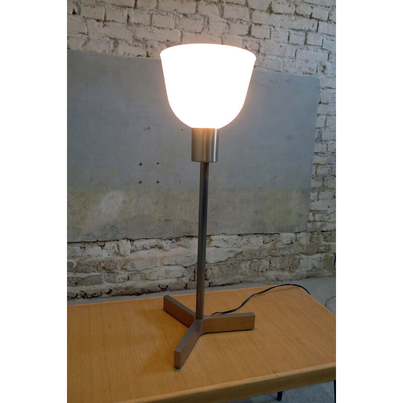 Vintage lamp by Roger Fatus for Disderot