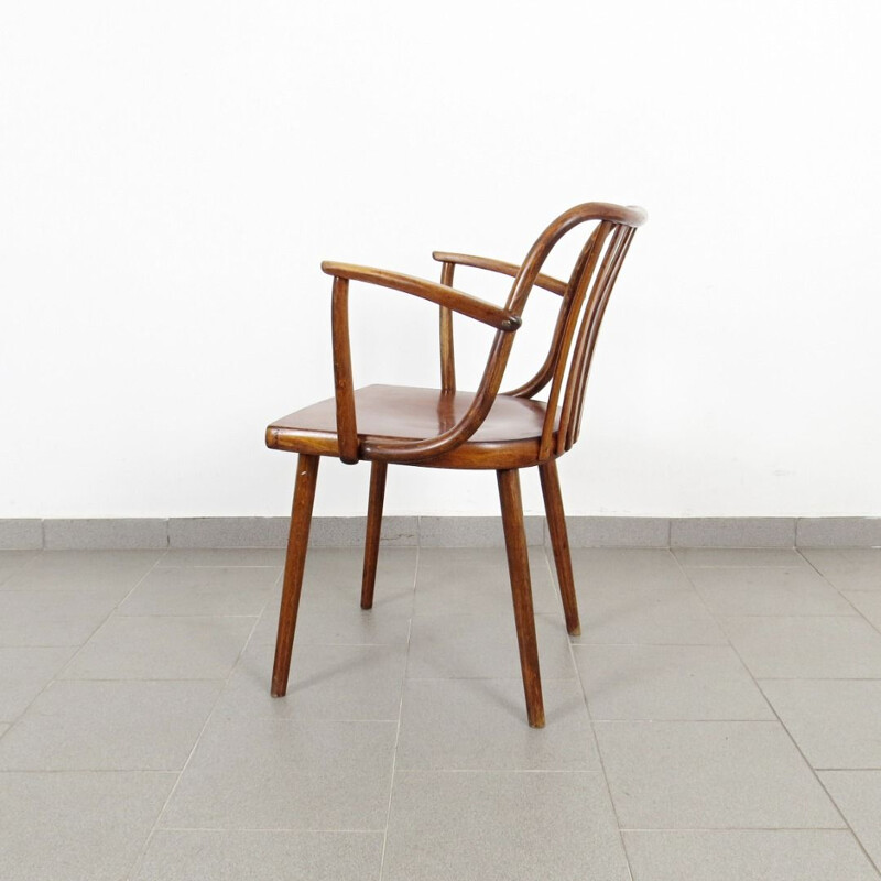 Vintage armchair by Antonin Suman, Czechoslovakia, 1960