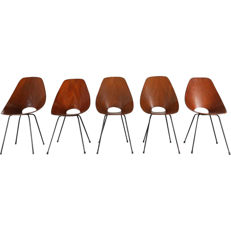Set of five medea chairs by vittorio Nobili