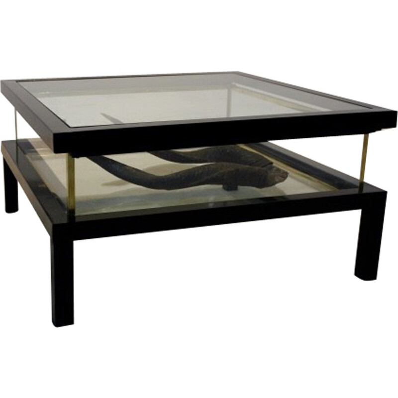 Vintage coffee table with sliding brass and glass top, 1970