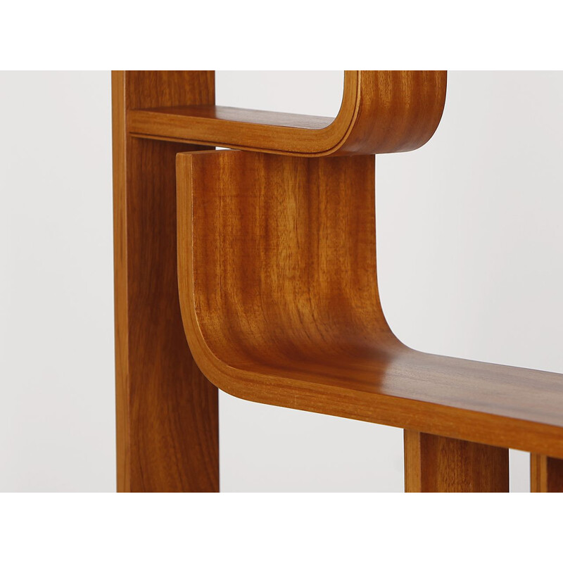 Vintage claustra for Drevopodnik Holesov in mahogany and plywood, 1960s