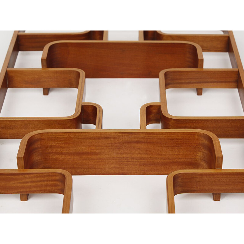 Vintage claustra for Drevopodnik Holesov in mahogany and plywood, 1960s