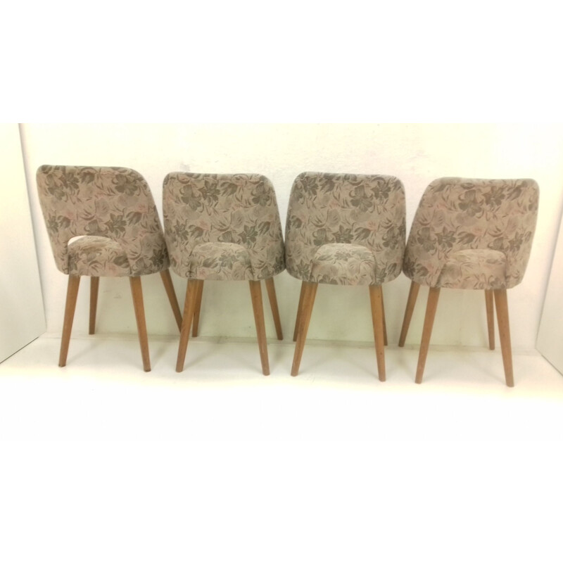 Conjunto de 4 cadeiras de madeira de faia vintage por Oswald Haerdtl, Checoslováquia 1950
