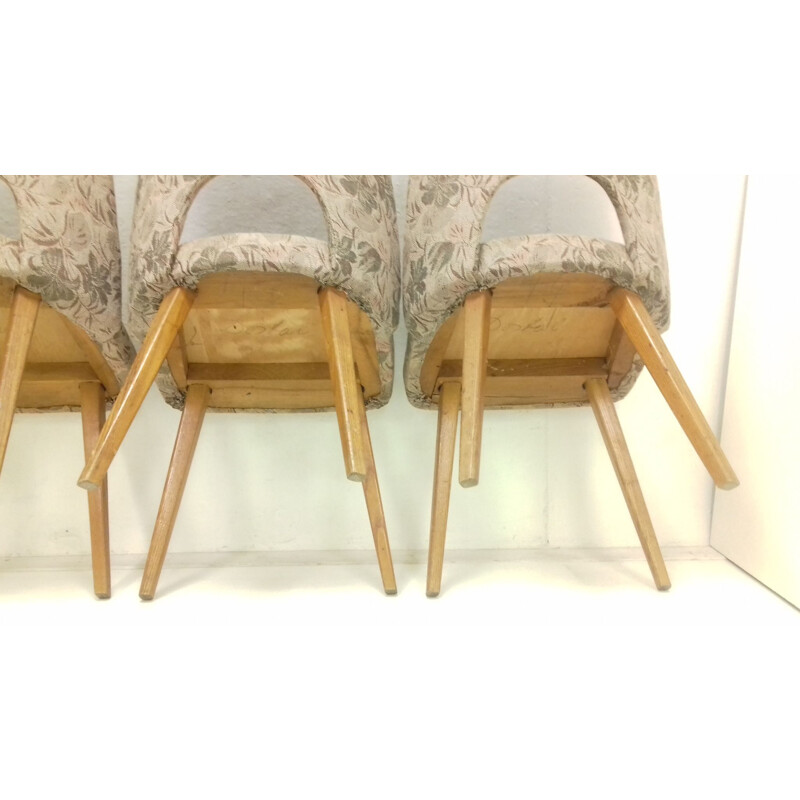 Conjunto de 4 cadeiras de madeira de faia vintage por Oswald Haerdtl, Checoslováquia 1950