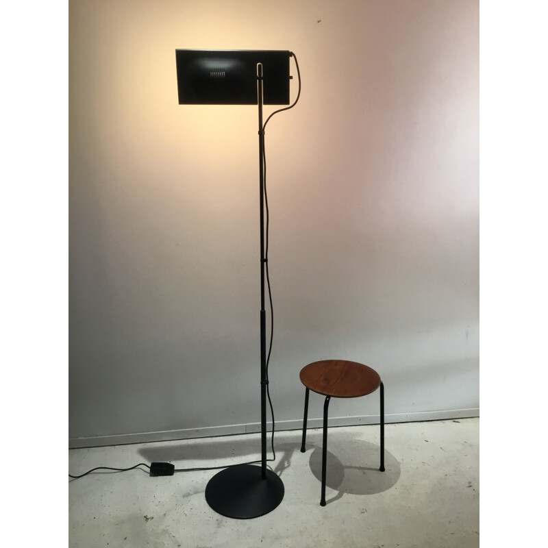 Vintage Italian Floor Lamp by Bargaglia & Colombo, 1980