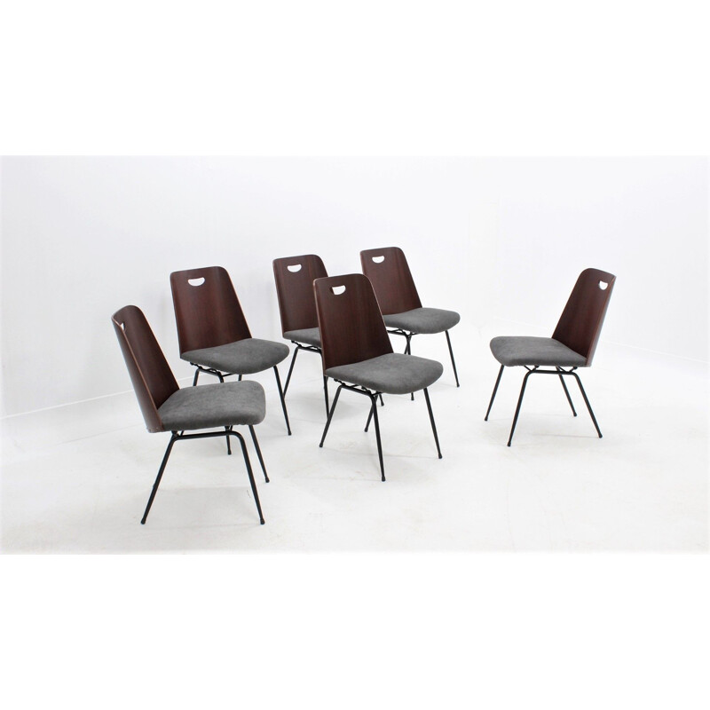 Set of 6 vintage Du22 chairs by Gastone Rinaldi for RIMA, 1950s