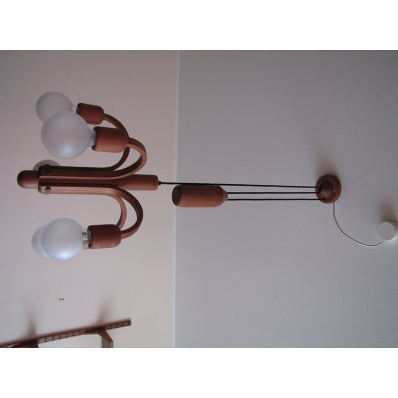 Vintage sculptural sputnic ceiling lamp in teak