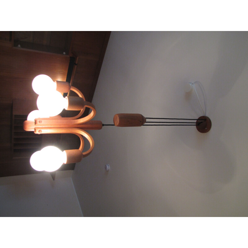 Vintage sculptural sputnic ceiling lamp in teak