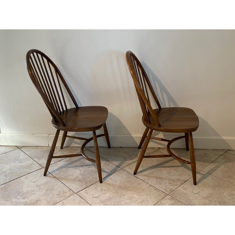 Pair of vintage chairs model 909 Latimer by Luciano Ercolani by Ercol