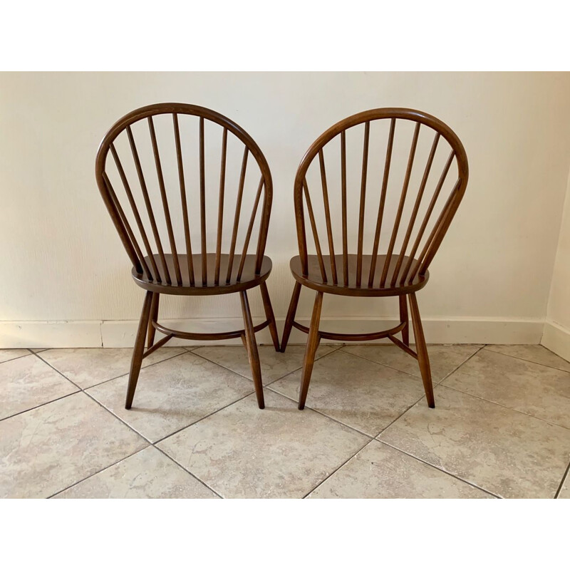 Pair of vintage chairs model 909 Latimer by Luciano Ercolani by Ercol