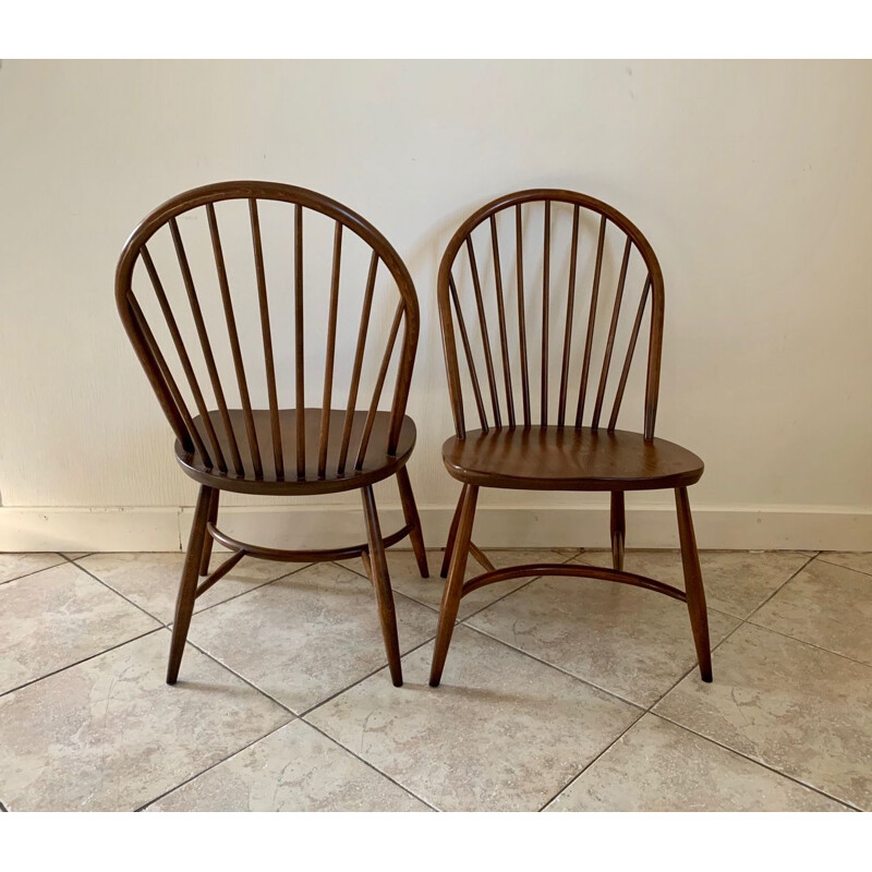 Pair of vintage chairs model 909 Latimer by Luciano Ercolani by Ercol