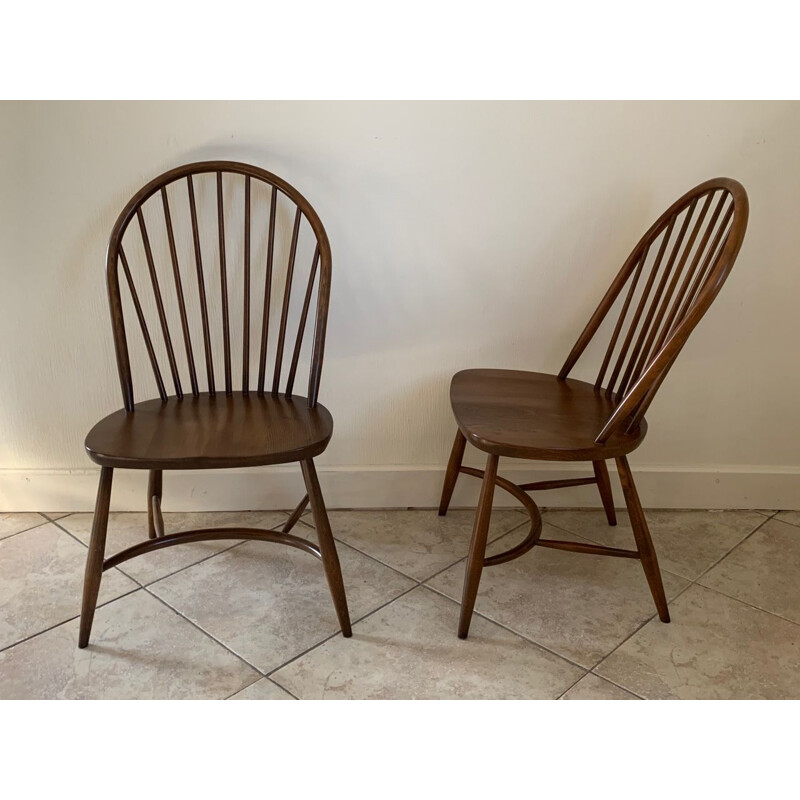 Pair of vintage chairs model 909 Latimer by Luciano Ercolani by Ercol