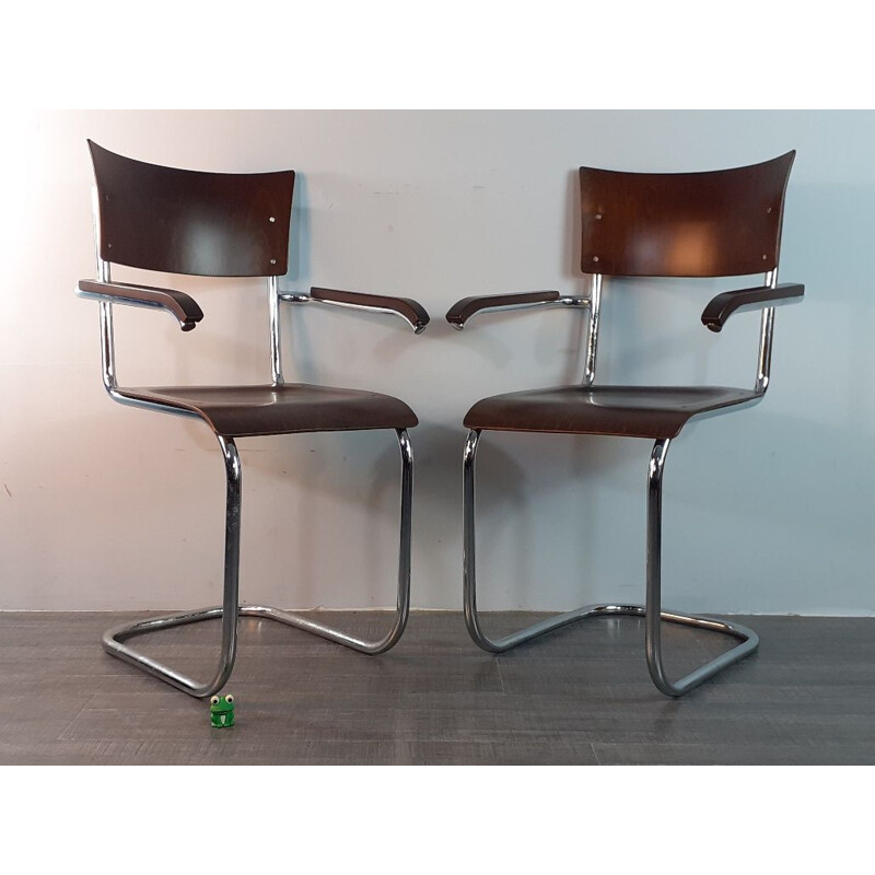 Pair of vintage walnut chairs model Fn6 by Mart Stam by Mucke Melder, Czechoslovakia 1930