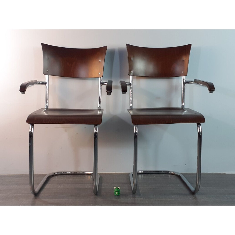 Pair of vintage walnut chairs model Fn6 by Mart Stam by Mucke Melder, Czechoslovakia 1930