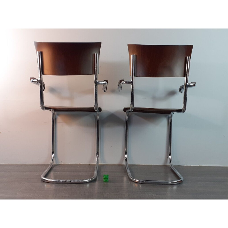 Pair of vintage walnut chairs model Fn6 by Mart Stam by Mucke Melder, Czechoslovakia 1930