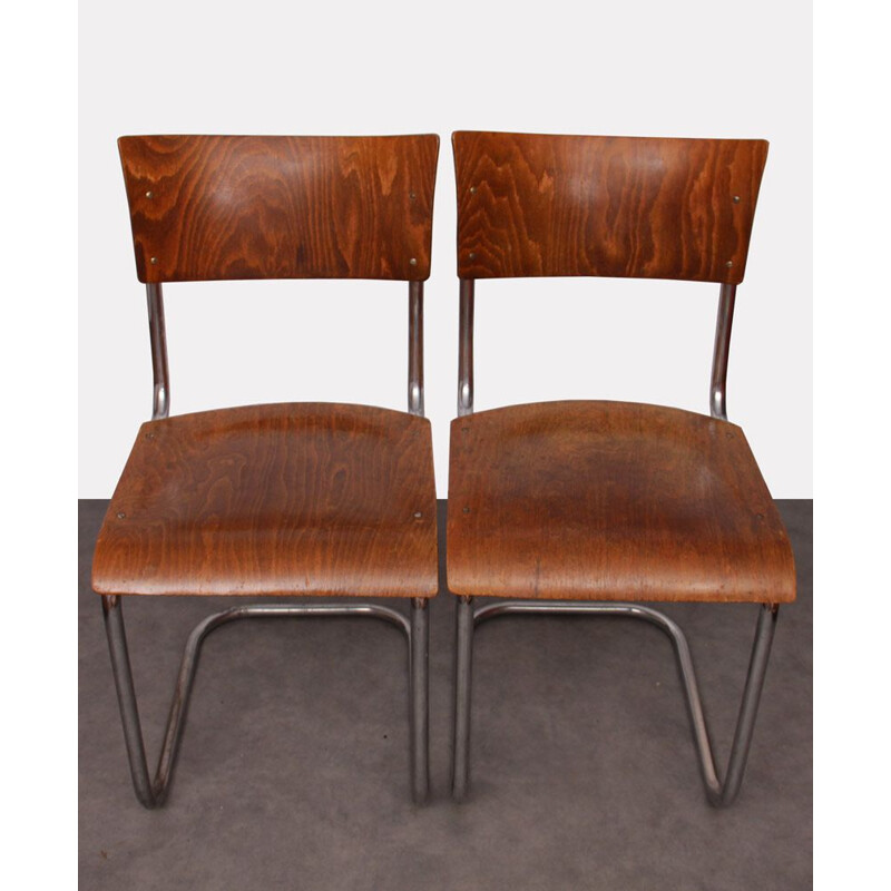 Pair of vintage chairs by Mart Stam by Kovona, 1940s