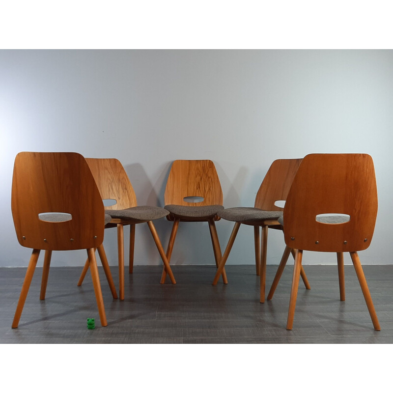 Set of 5 vintage beech Lollipops chairs, Jiràk by TATRA, 1960s