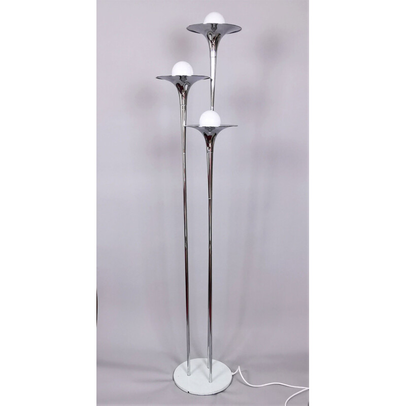 Vintage floor lamp by Gioffredo REGGIANI, 1970