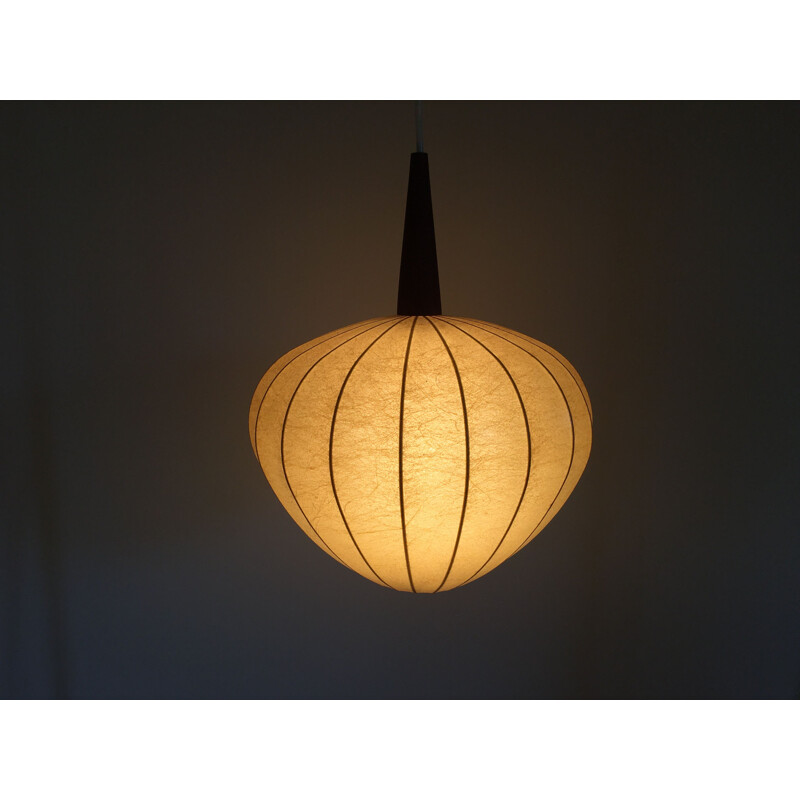 Vintage resin and teak hanging lamp, 1960