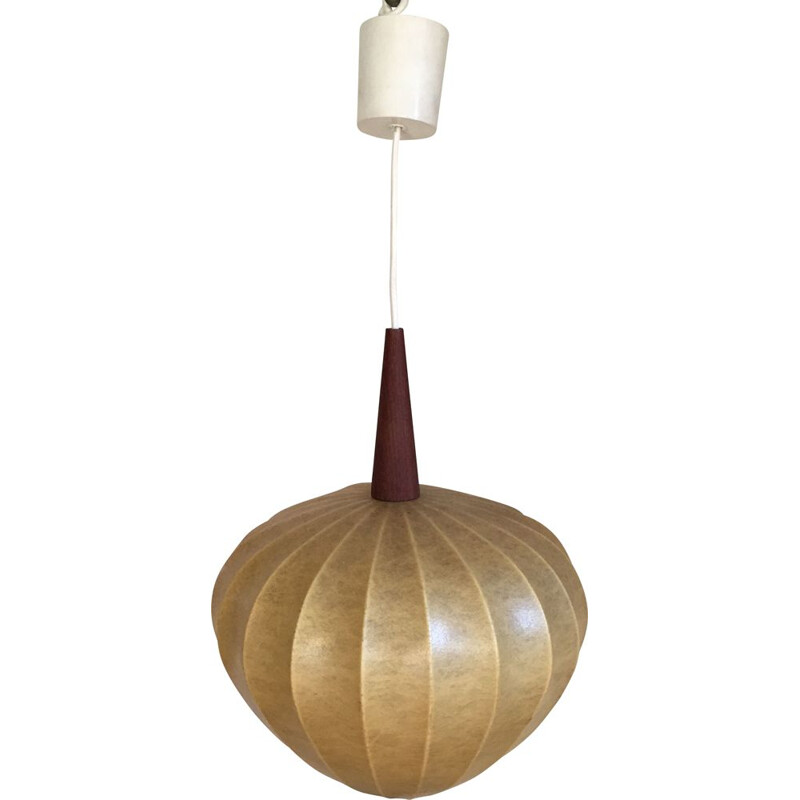 Vintage resin and teak hanging lamp, 1960