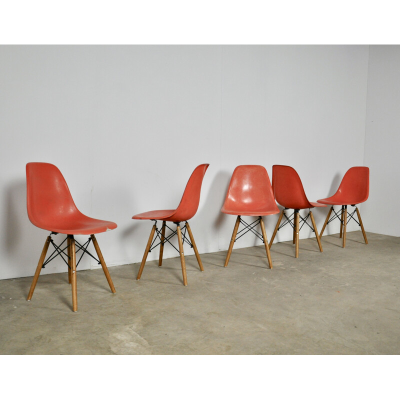 Ensemble de 5 chaises à repas DSW de Charles et Ray Eames pour Herman Miller, années 1970