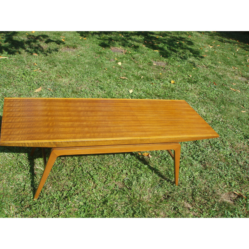 Vintage Scandinavian teak and mahogany coffee table