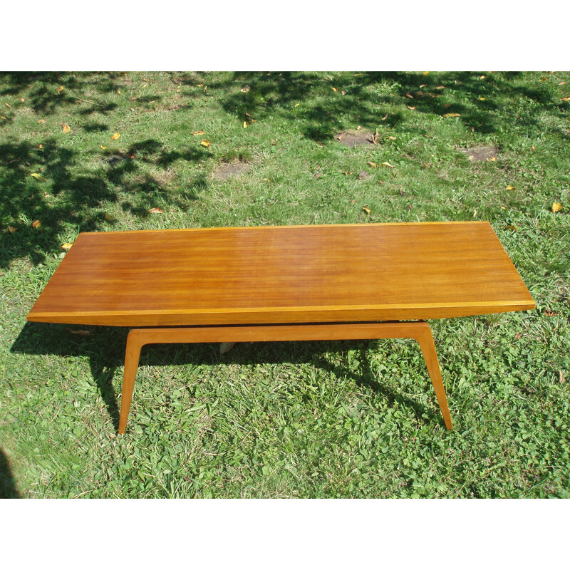 Vintage Scandinavian teak and mahogany coffee table