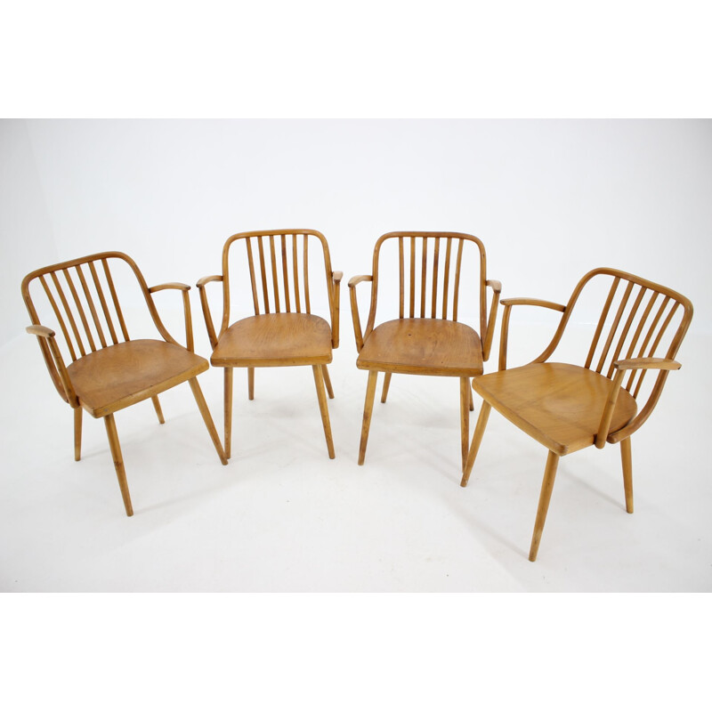 Set of 4 vintage dining chairs by Antonin Suman, Czechoslovakia, 1960s