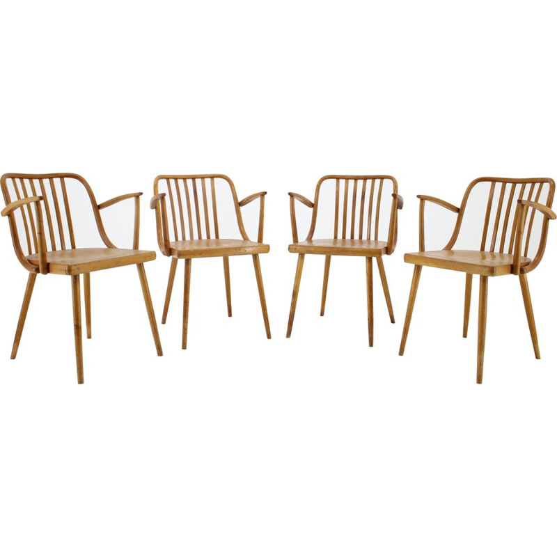 Ensemble de 4 chaises à repas vintage d'Antonin Suman, Tchécoslovaquie, 1960