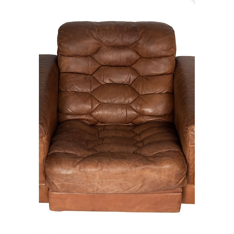 2 DS-P armchairs by Robert Haussmann for De Sede, 1970