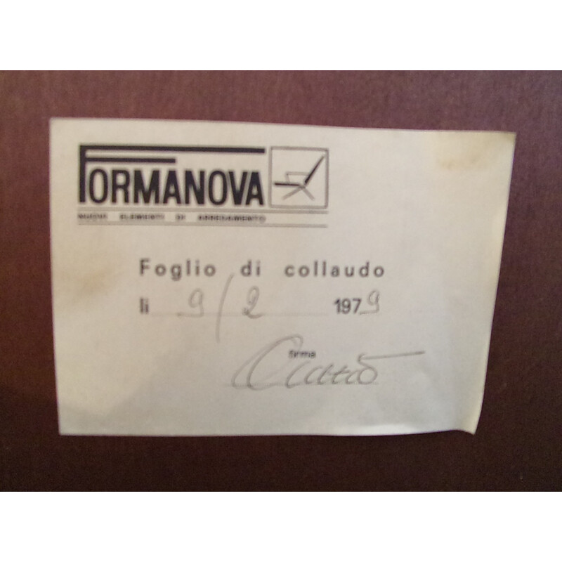 Paire d'armoires Formanova, Gianni MOSCATELLI - 1970